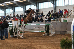 Springturnier 2009