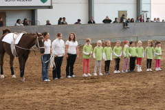 Stalltür 2009