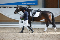 Dressurfestival 2015