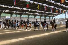Ponyhallenchampionat 2017