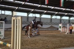 WBO-Springturnier 2019