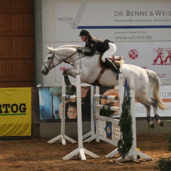 Ein Foto von einer Reiterin auf einem weißen Pferd beim Springen über eine Hürde in einer Reithalle.