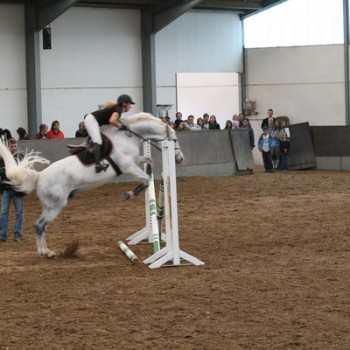 Ein Foto einer Reiterin mit ihrem Pferd beim Springen.